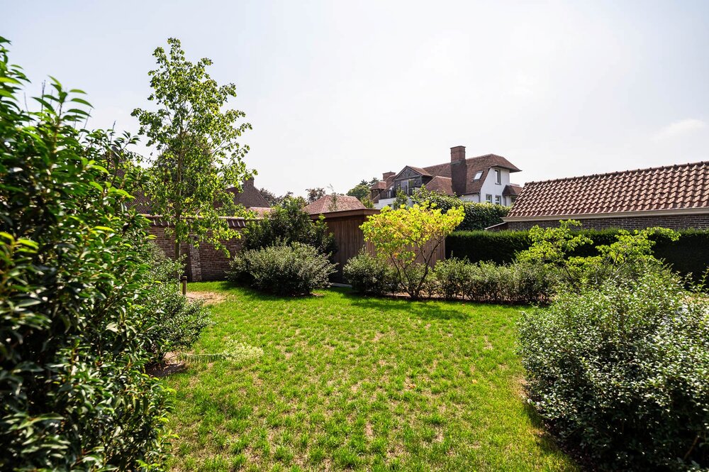 08993483_9.jpg