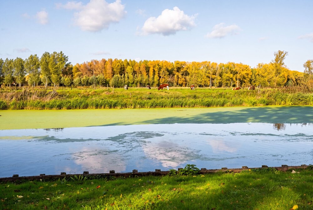 09091013_16.jpg