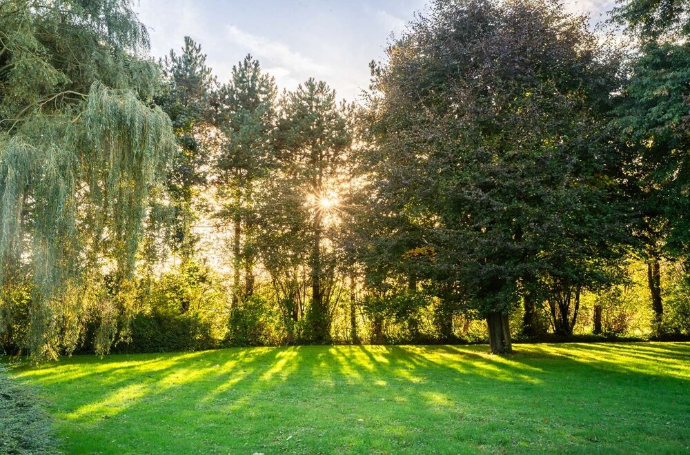 Mooi perceel bouwgrond met landelijke ligging